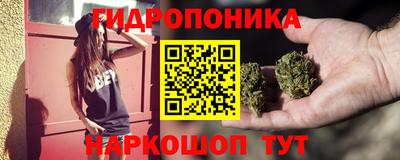 спиды Камышлов