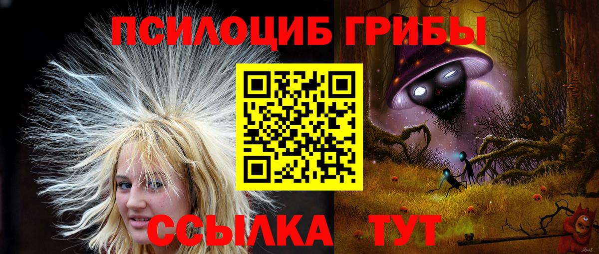 Галлюциногенные грибы Psilocybe Губкинский
