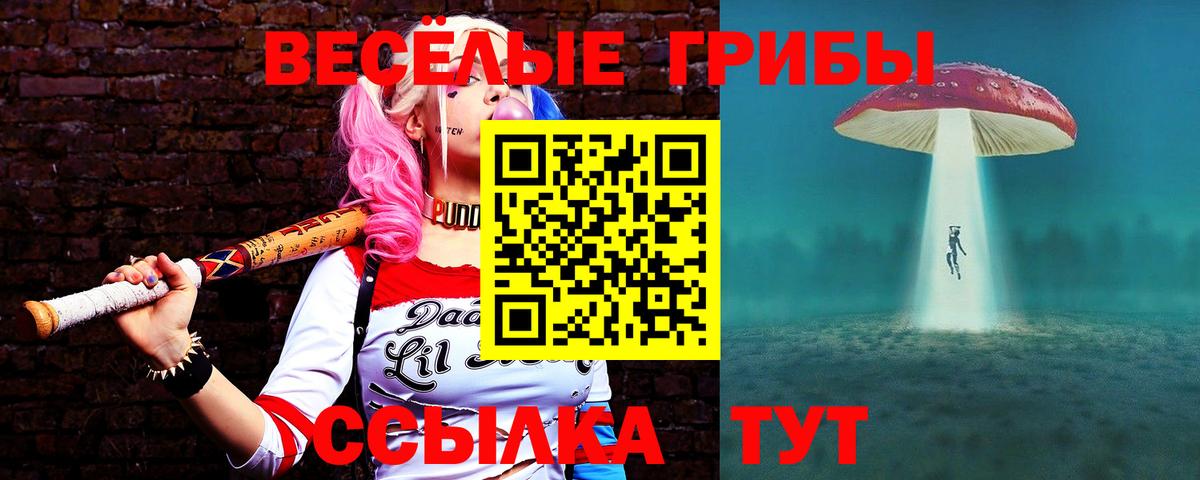 наркошоп  Псилоцибиновые грибы MAGIC MUSHROOMS  Вход с VPN  Губкинский 